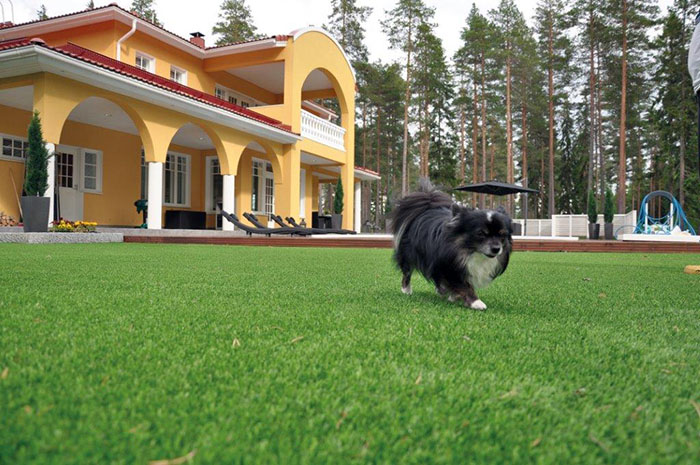 Saltex Verdana tekonurmi