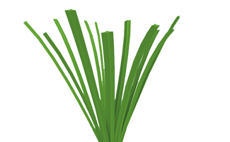 saltex polar unisport konstgräs fiber