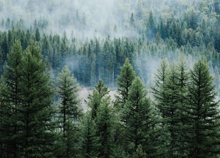 Artificial turf - responsibly and sustainably